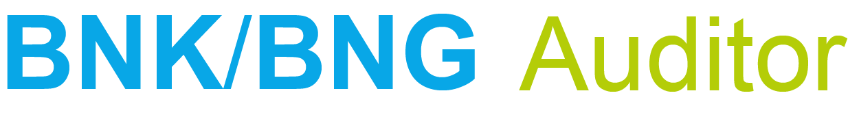 BNK BNG Auditor